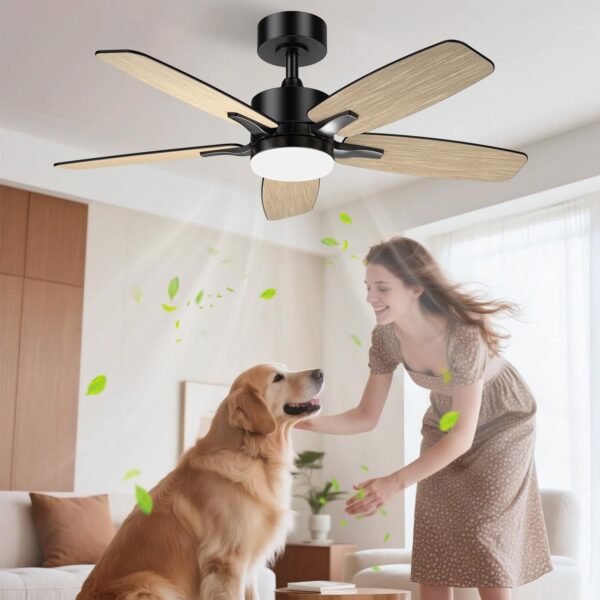 Airwit 106cm Ventilateur de Plafond Silencieux avec Lumière, Télécommande et Moteur Réversible DC pour Chambre, Salon et Cuisine [Classe énergétique D]