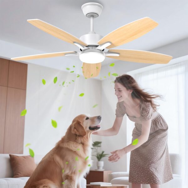 Airwit 106cm Silencieux Ventilateur Plafond avec Lumière, Pales Double Face | Éclairage LED, télécommande, moteur DC réversible, 6 vitesses, pales bois/blanc, montage avec tige, chambre, salon, cuisine [Classe énergétique D]